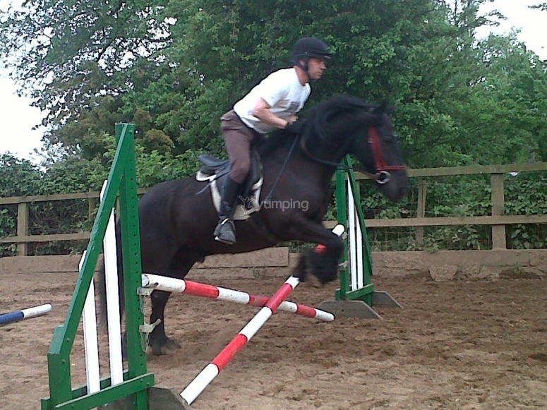 Monach Farm Riding Stables, prices and bookings 2024